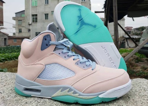 Air Jordan 5 Retro SE